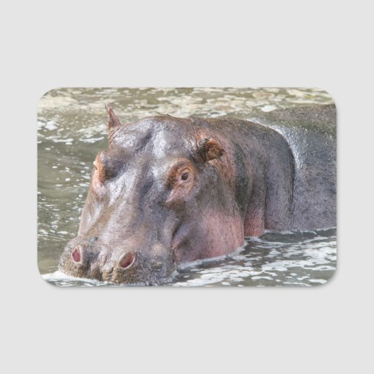 Happy Hippo Naamplaatje (Voorkant)