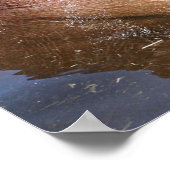 Happy hippo poster (Hoek)