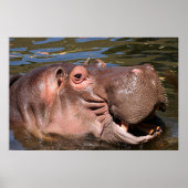 Happy hippo poster (Voorkant)
