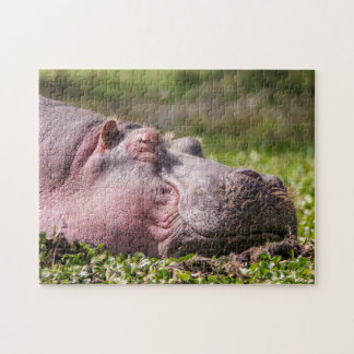 Happy Hippo Puzzle Legpuzzel