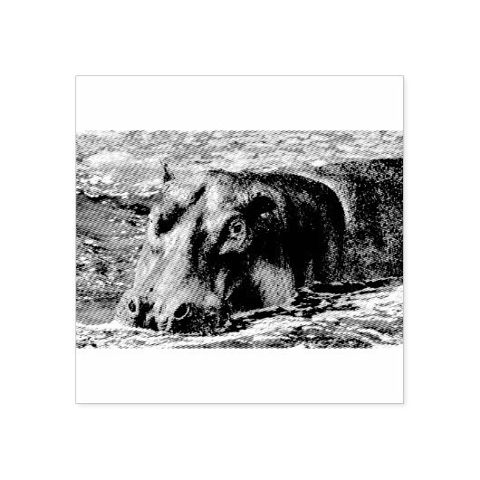 Happy Hippo Rubberstempel (Afrduk)