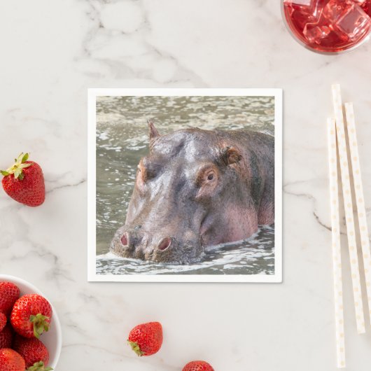 Happy Hippo Servet (Insitu)