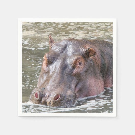 Happy Hippo Servet (Voorkant)