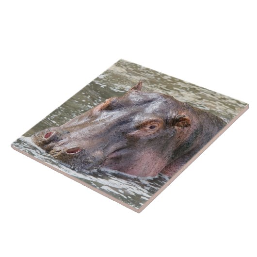 Happy Hippo Tegeltje (Zijkant)