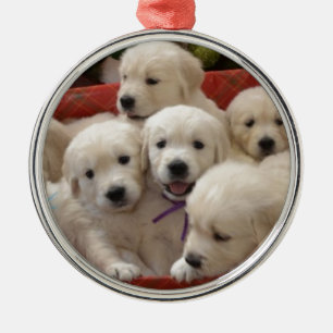 Happy Holiday Golden Retriever puppies Metalen Ornament