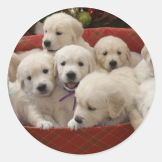 Happy Holiday Golden Retriever puppies Ronde Sticker
