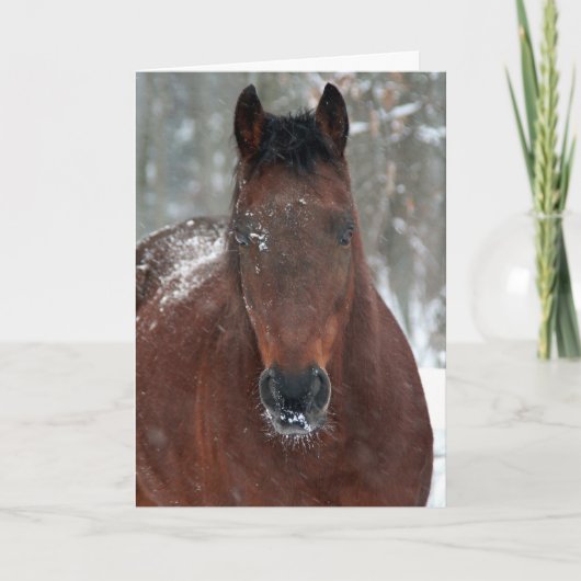 Happy Holiday-kaart Feestdagen Kaart (Voorkant)