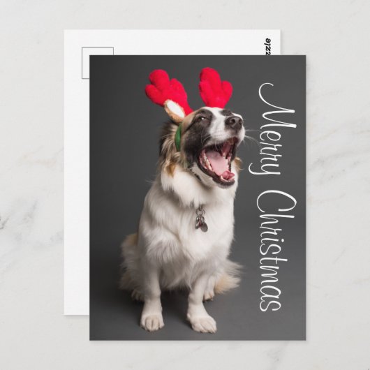 Happy Holiday Puppy Briefkaart (Voorkant / Achterkant)