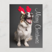 Happy Holiday Puppy Briefkaart (Voorkant)