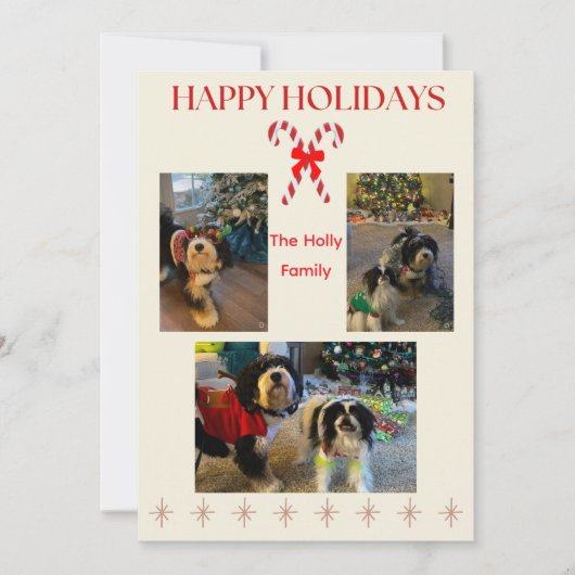 Happy Holidays Candy Cane and Twinkle Card Feestdagenkaart (Voorkant)