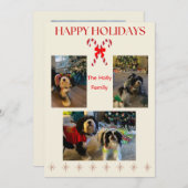 Happy Holidays Candy Cane and Twinkle Card Feestdagenkaart (Voorkant / Achterkant)