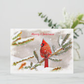 Happy Holidays Cardinal in Snow Feestdagenkaart (Staand voorkant)