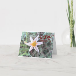 Happy Holidays White Flower Blank Greeting Card Bedankkaart