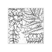 Happy Hollow Raccoon- Wisteria Rubberstempel (Afrduk)