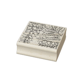 Happy Hollow Raccoon- Wisteria Rubberstempel