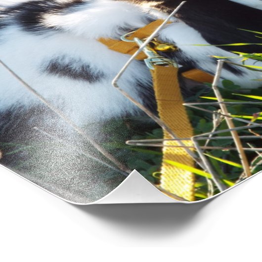 Happy Hoppy Foto Afdruk (Hoek)