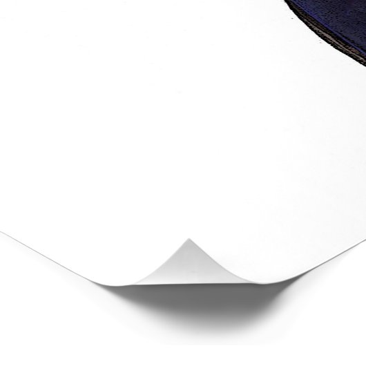 Happy Horse ' JeFF ' van Shirley MacArthur Poster (Hoek)