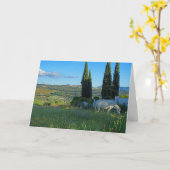 Happy Horse Kaart (Gele Bloem)