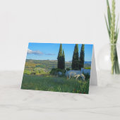 Happy Horse Kaart (Voorkant)