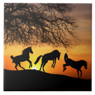 Happy Horses Art Tegel Tegeltje