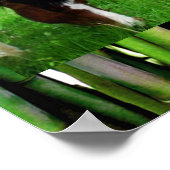 HAPPY HORSES POSTER (Hoek)