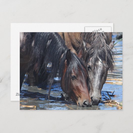 Happy Hour Briefkaart (Voorkant / Achterkant)