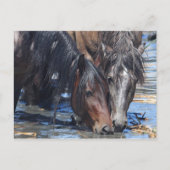 Happy Hour Briefkaart (Voorkant)