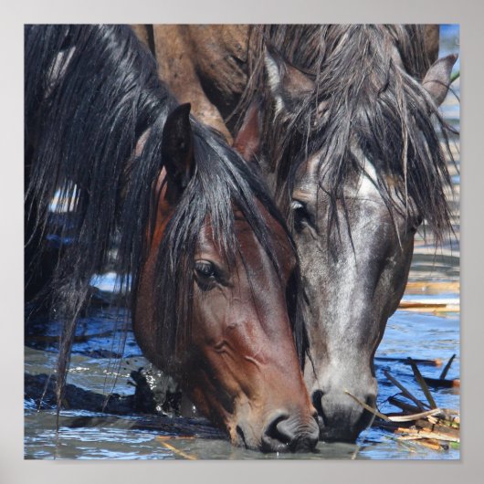 Happy Hour Poster (Voorkant)