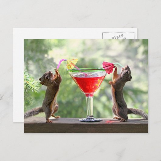 Happy Hour Squirrels Briefkaart (Voorkant / Achterkant)