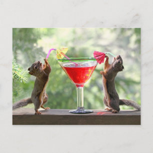 Happy Hour Squirrels Briefkaart