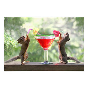 Happy Hour Squirrels Foto Afdruk