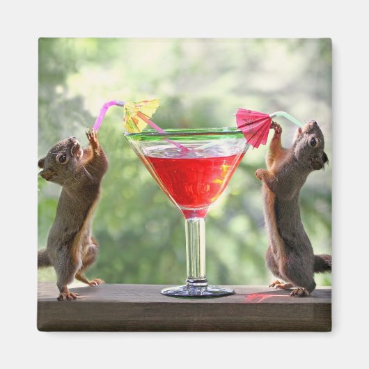 Happy Hour Squirrels Magneet (Voorkant)