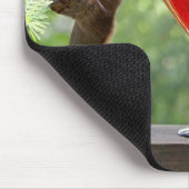 Happy Hour Squirrels Muismat (Hoek)