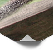 Happy Hour Squirrels Poster (Hoek)