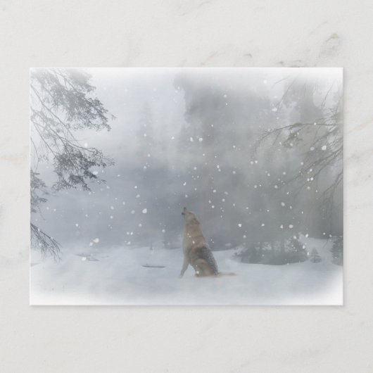Happy "Howl" bezoekt Wolf in het sneeuwBriefkaart Briefkaart (Voorkant)