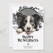 Happy Howlidays Border Collie Dog Kerstmis Feestdagenkaart (Voorkant)