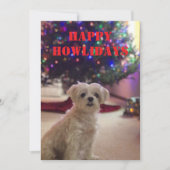 Happy Howlidays Christmas Card Kaart (Voorkant)