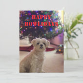 Happy Howlidays Christmas Card Kaart (Staand voorkant)