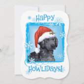 Happy Howlidays Curly-Coated Retriever Feestdagenkaart (Voorkant)