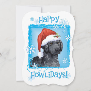 Happy Howlidays Curly-Coated Retriever Feestdagenkaart