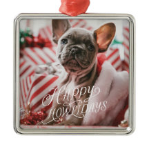Happy Howlidays Dog Foto