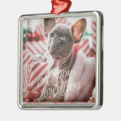 Happy Howlidays Dog Foto Metalen Ornament (Links)