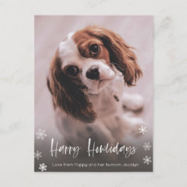Happy Howlidays Dog Walker Kerstmis Briefkaart