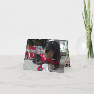 Happy Howlidays Feestdagen Kaart