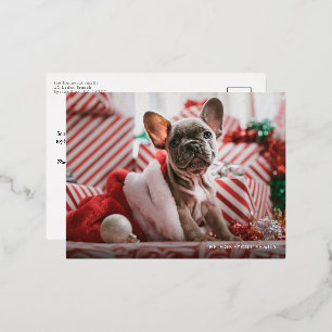 Happy Howlidays Folie Pauw Print Dog Holiday Feestdagen Briefkaart