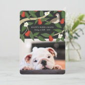 Happy Howlidays Foto | Partridge Pear-boom Feestdagenkaart (Staand voorkant)