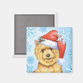 Happy Howlidays Norwich Terrier Magneet (Voorkant / Achterkant)
