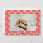 Happy Howlidays Paw Pet Dog kerstfoto Feestdagenkaart (Achterkant)