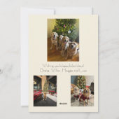 Happy Howlidays Photo Card Feestdagenkaart (Achterkant)