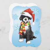 Happy Howlidays PWD Feestdagenkaart (Voorkant / Achterkant)